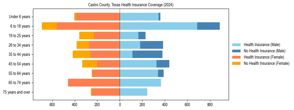 Health insurance pyramid for Castro County, Texas
