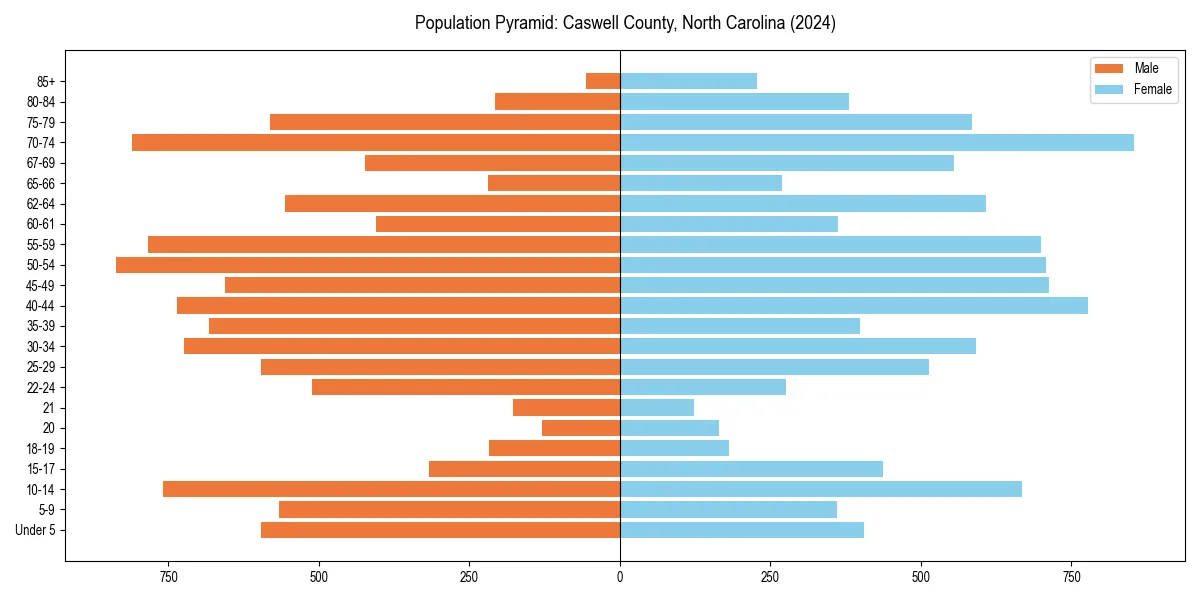 Population pyramid for 