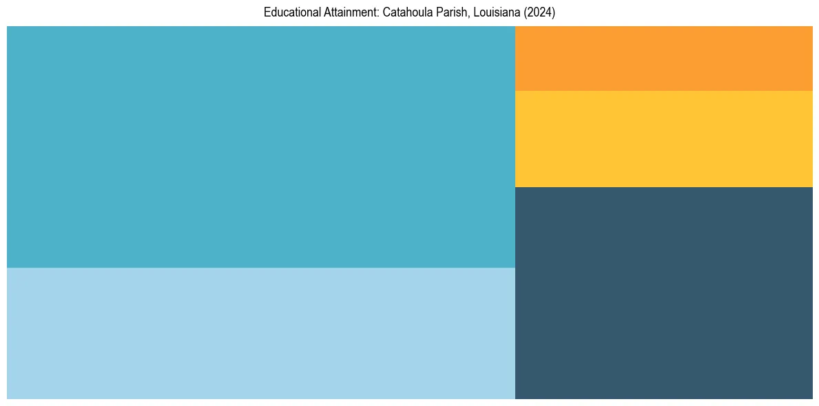 Education Treemap for  in 2024