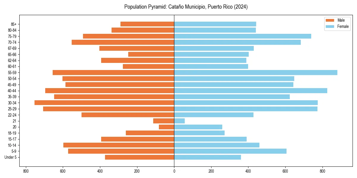 Population pyramid for 