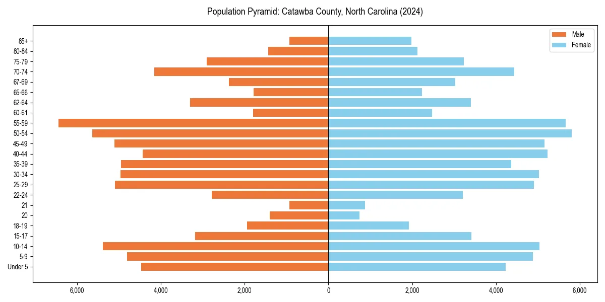 Population pyramid for 