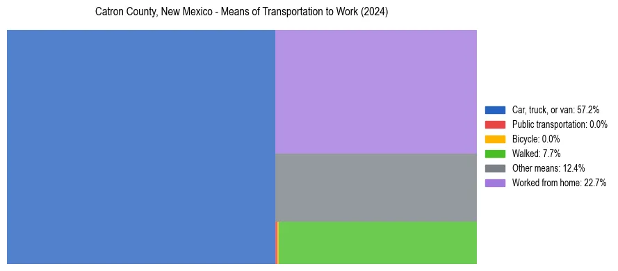 Commute modes in Catron County, New Mexico
