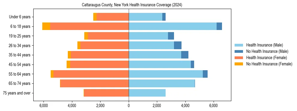 Health insurance pyramid for Cattaraugus County, New York