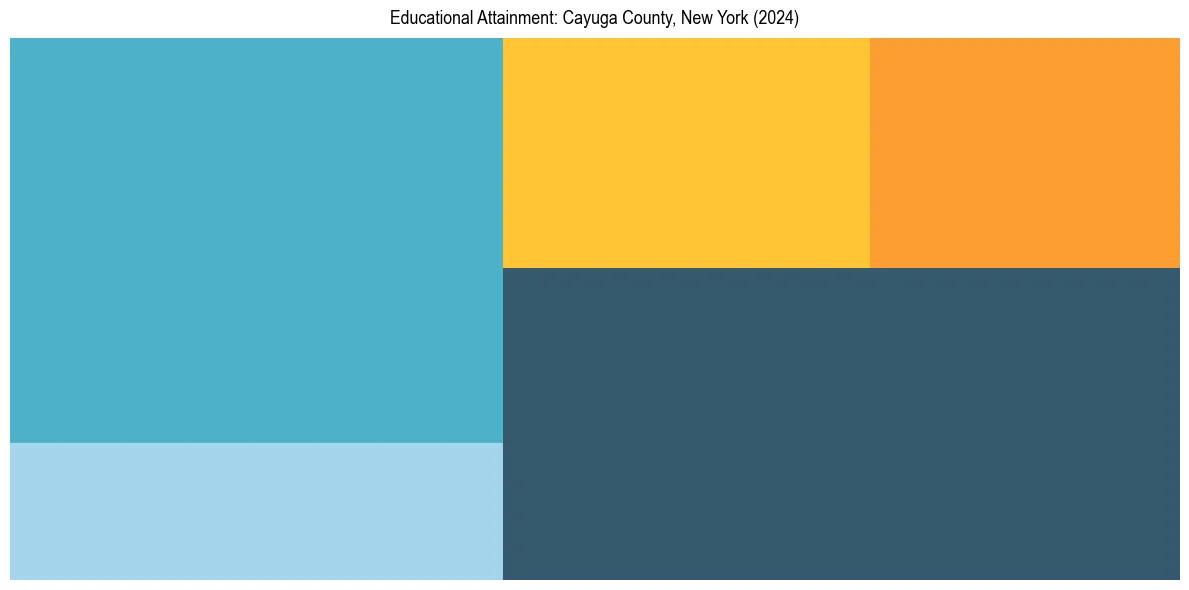 Education Treemap for  in 2024