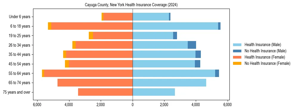 Health insurance pyramid for Cayuga County, New York