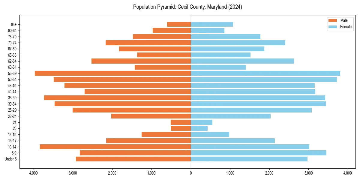Population pyramid for 