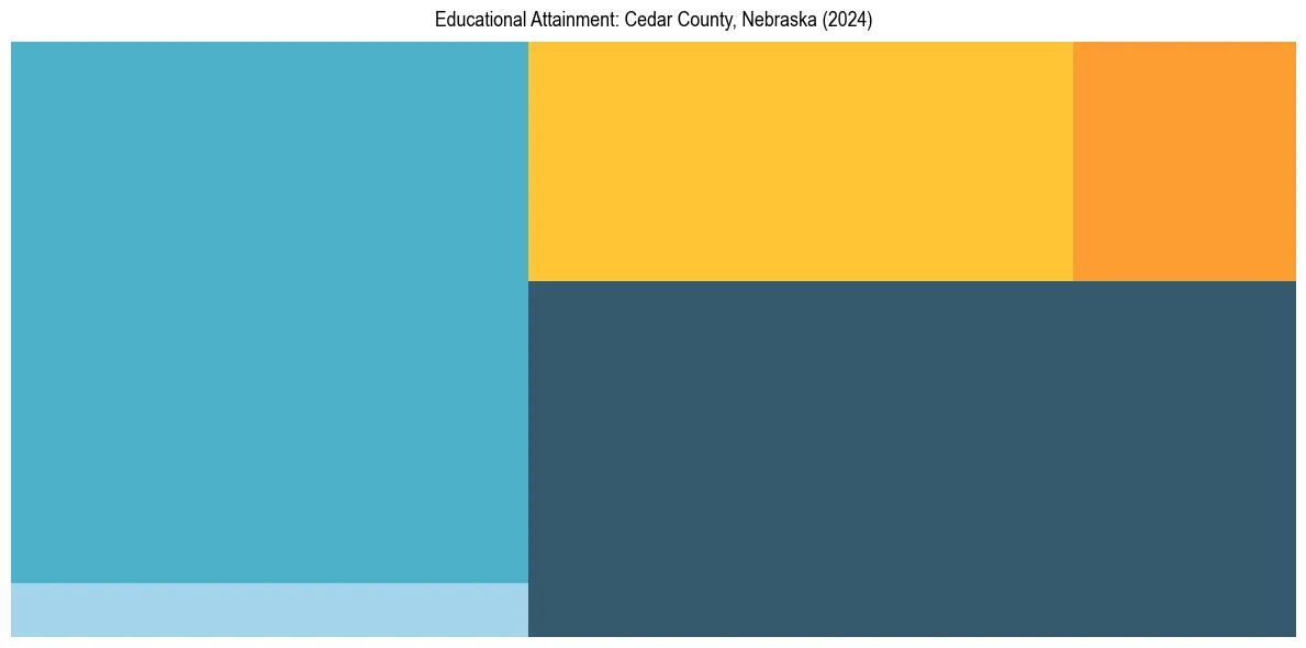Education Treemap for  in 2024