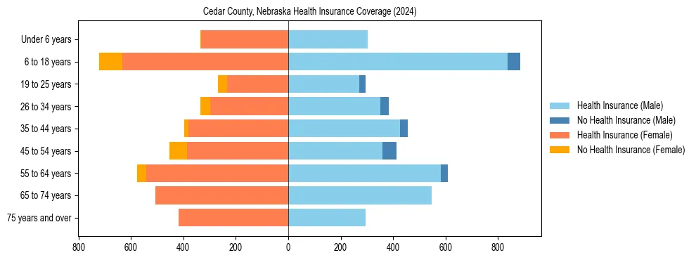 Health insurance pyramid for Cedar County, Nebraska