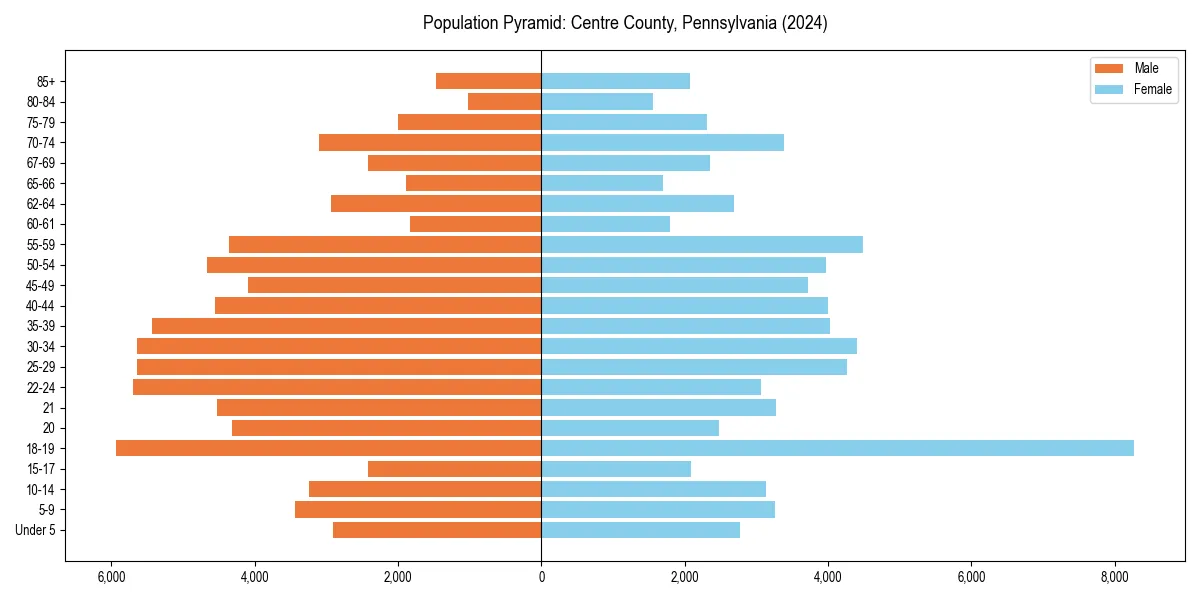 Population pyramid for 