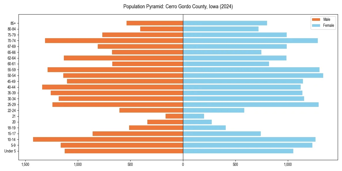 Population pyramid for 