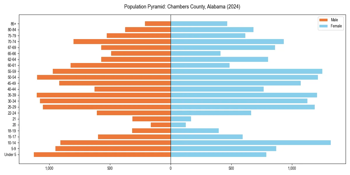 Population pyramid for 
