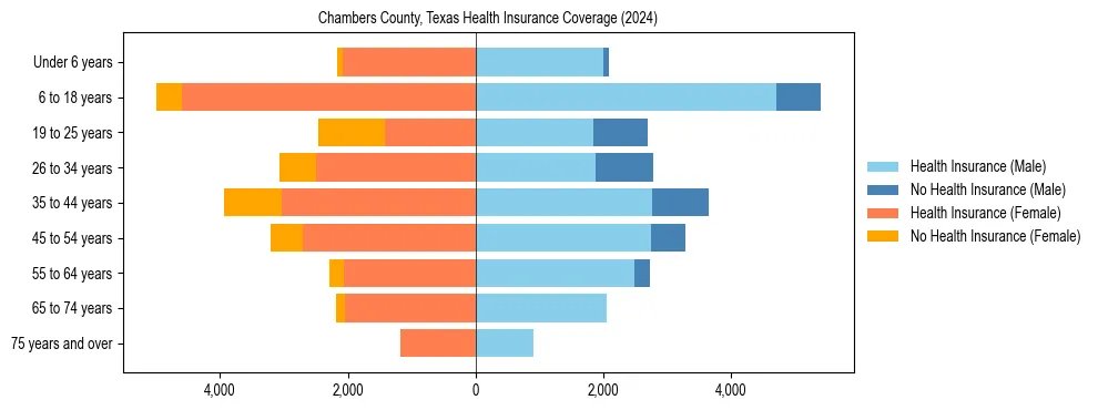 Health insurance pyramid for Chambers County, Texas