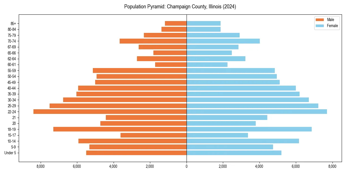 Population pyramid for 