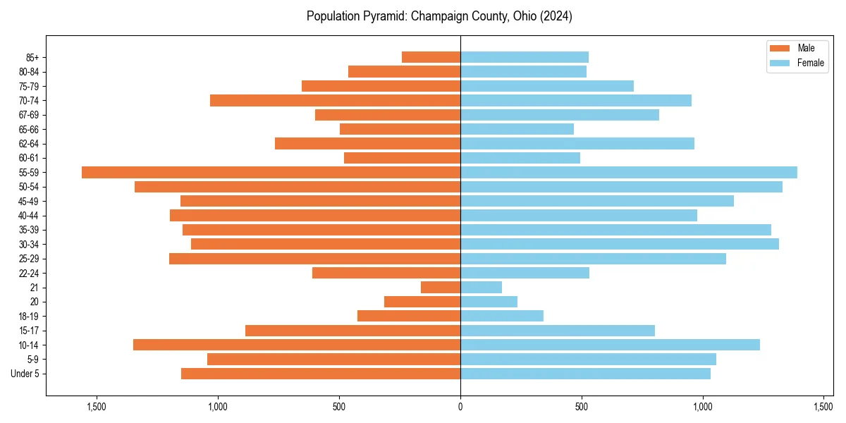 Population pyramid for 