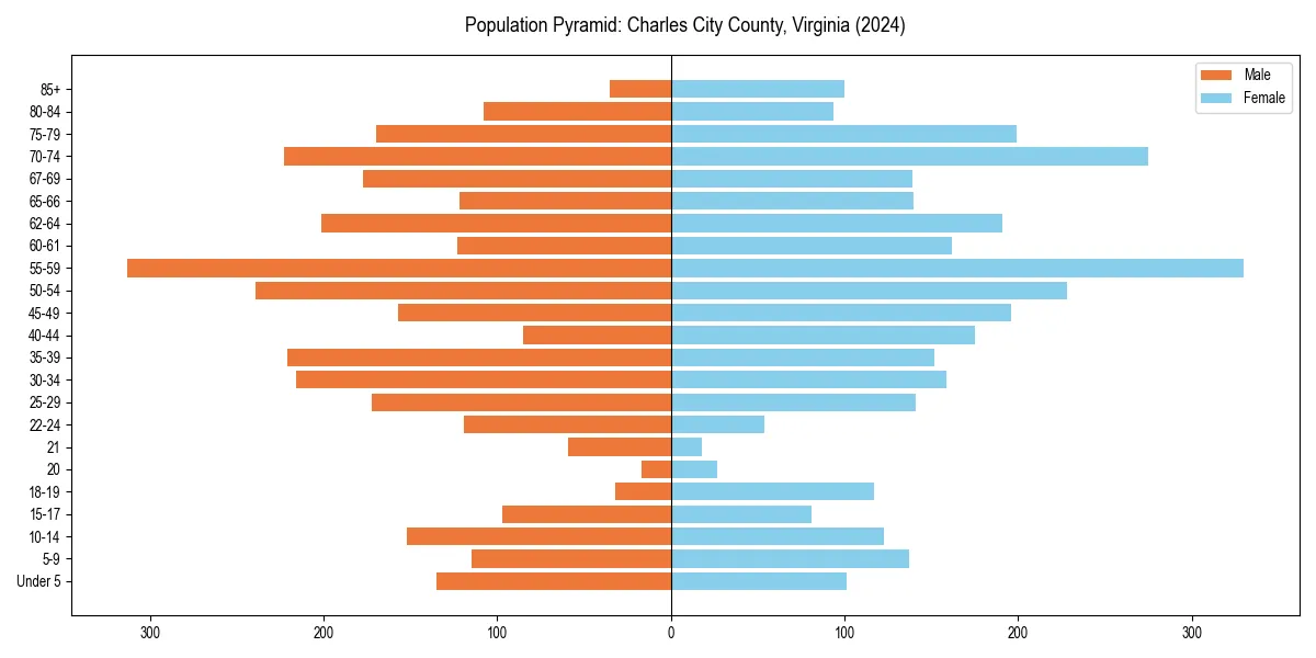 Population pyramid for 