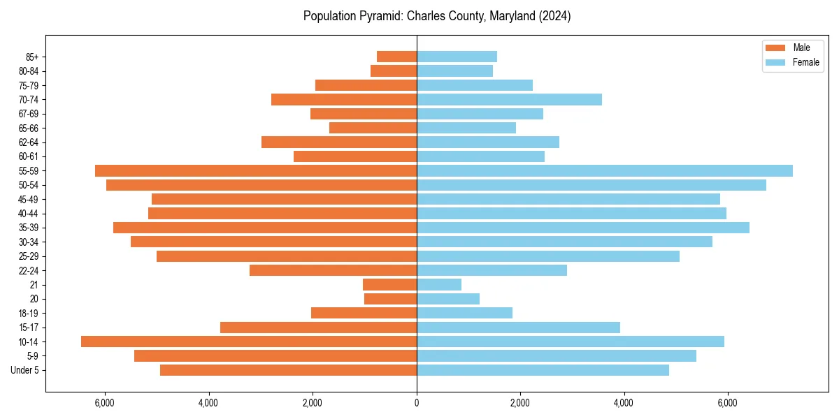 Population pyramid for 
