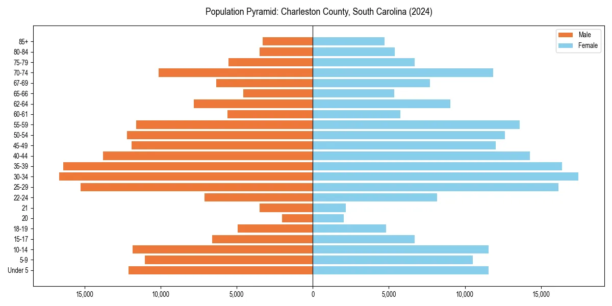 Population pyramid for 