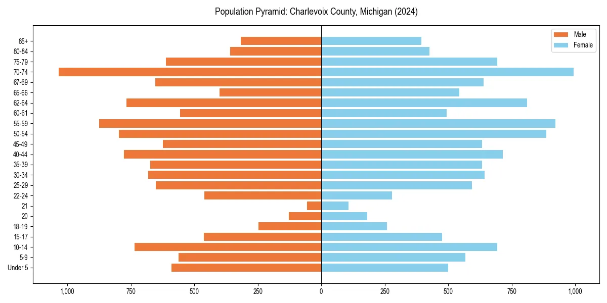 Population pyramid for 