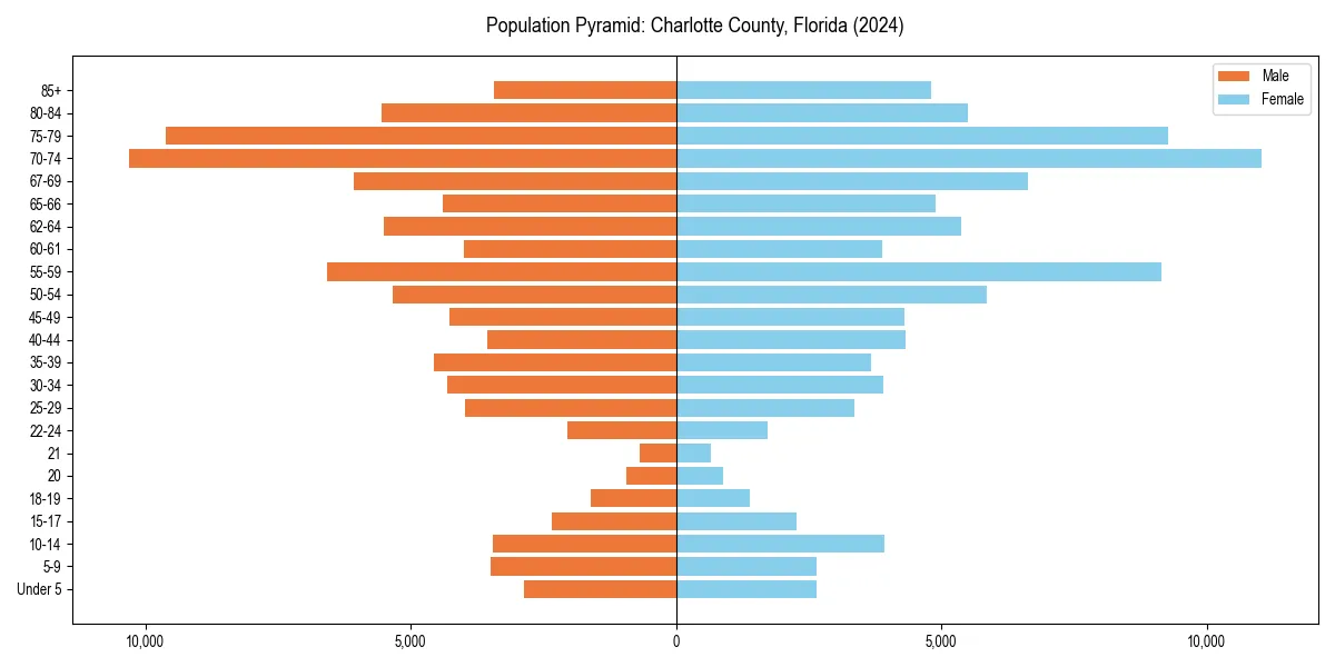 Population pyramid for 