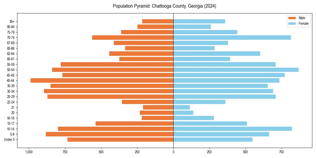 Population pyramid for 