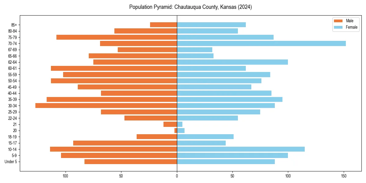 Population pyramid for 