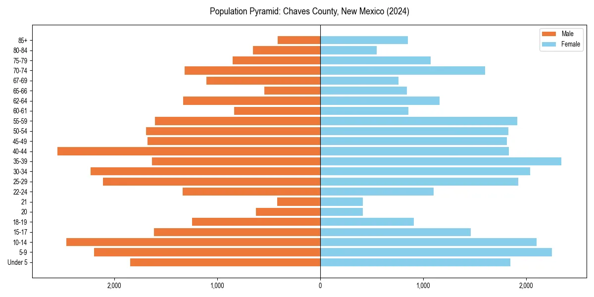 Population pyramid for 