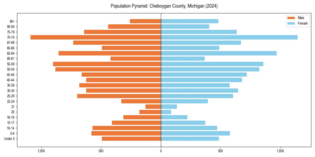 Population pyramid for 