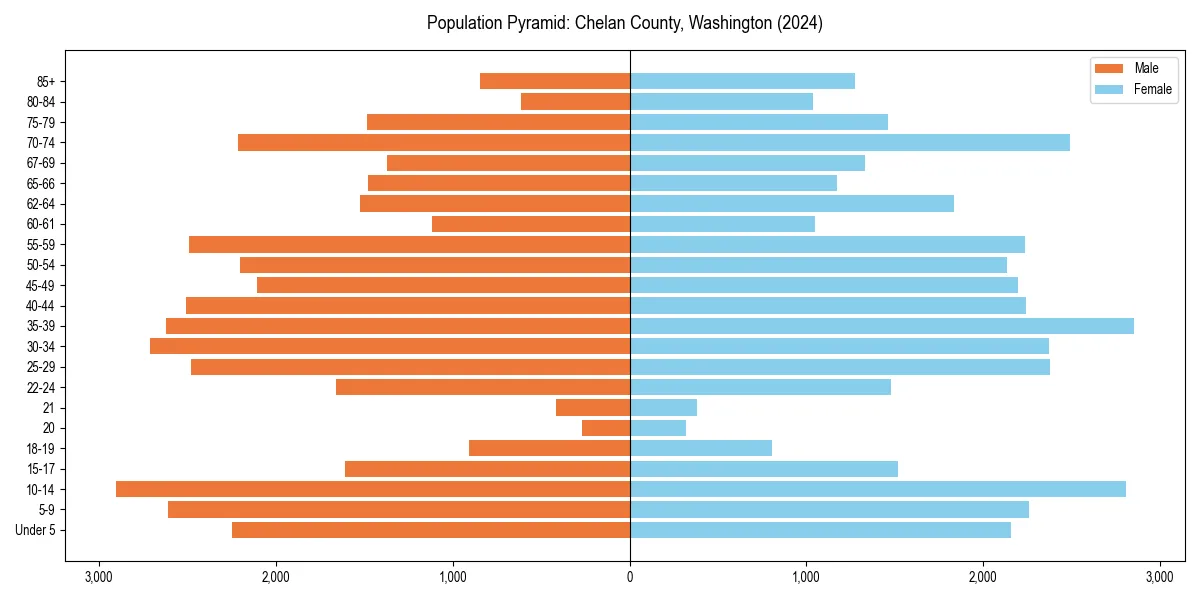 Population pyramid for 