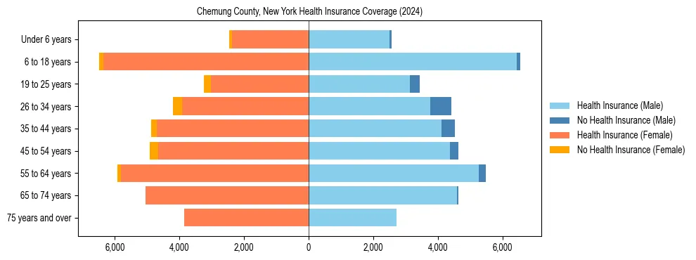 Health insurance pyramid for Chemung County, New York