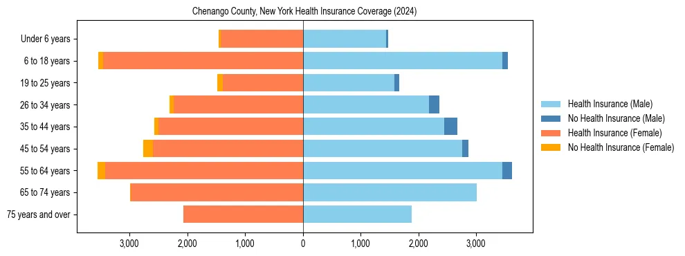 Health insurance pyramid for Chenango County, New York