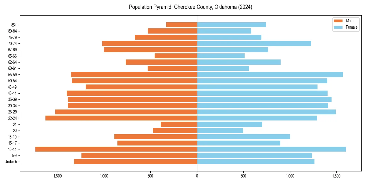 Population pyramid for 