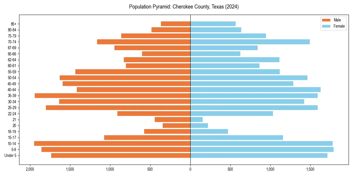 Population pyramid for 