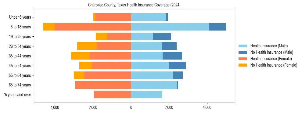 Health insurance pyramid for Cherokee County, Texas
