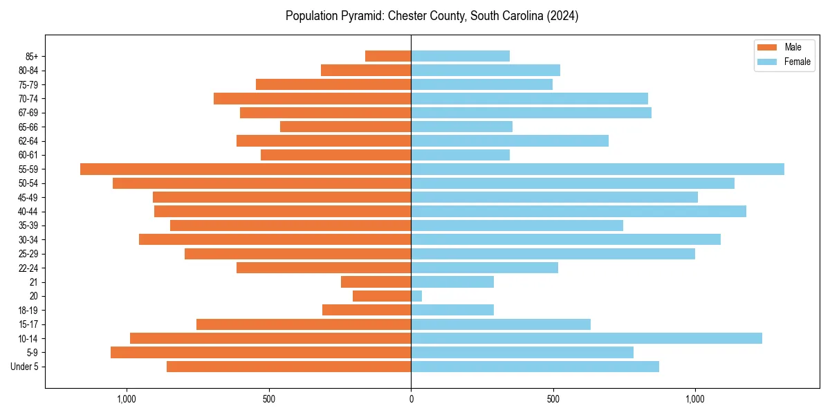 Population pyramid for 