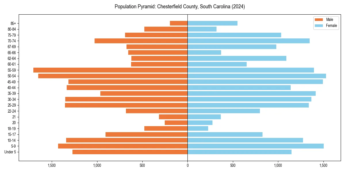 Population pyramid for 