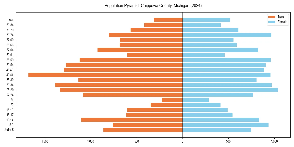 Population pyramid for 