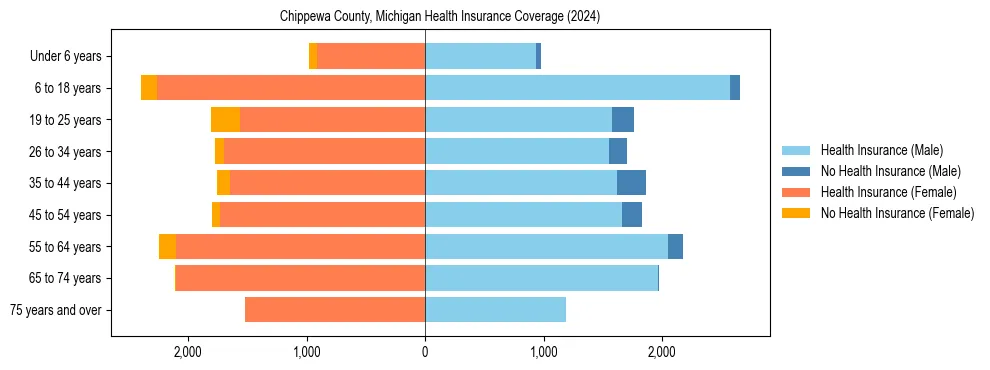 Health insurance pyramid for Chippewa County, Michigan