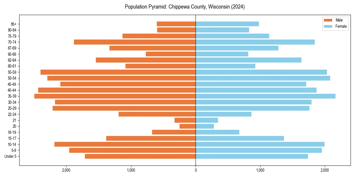 Population pyramid for 