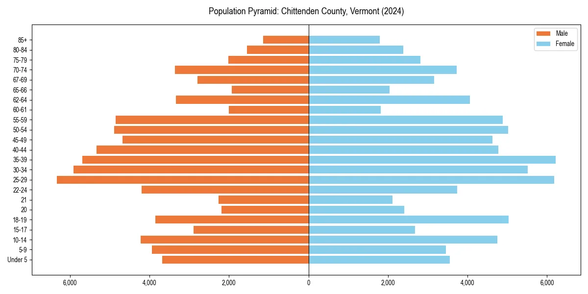 Population pyramid for 