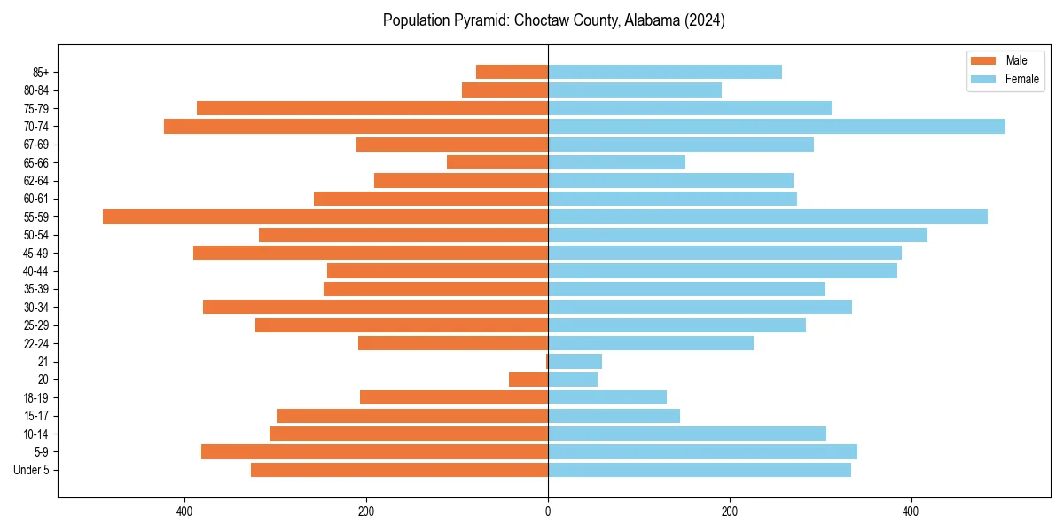Population pyramid for 
