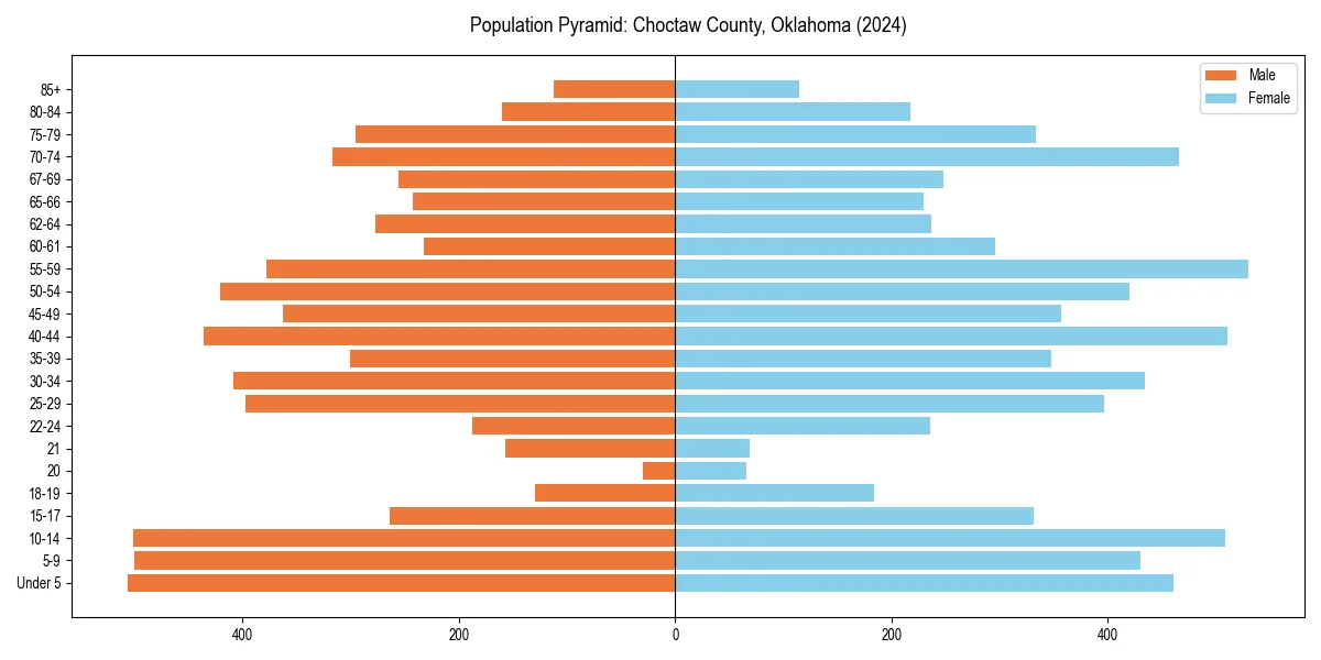 Population pyramid for 