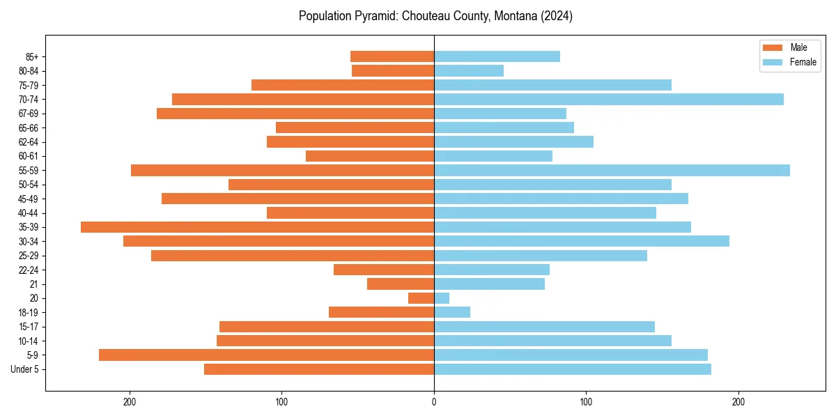 Population pyramid for 