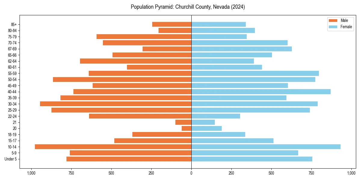 Population pyramid for 