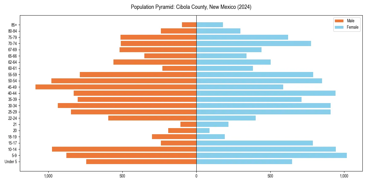 Population pyramid for 