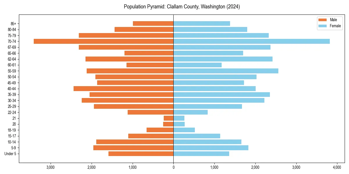 Population pyramid for 