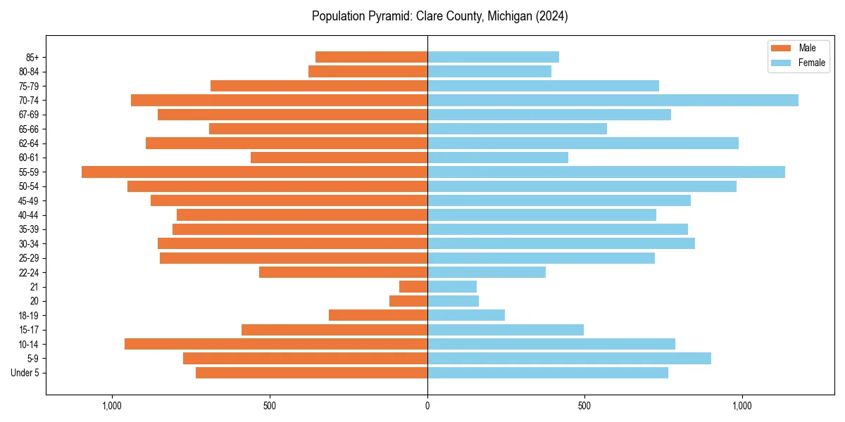 Population pyramid for 