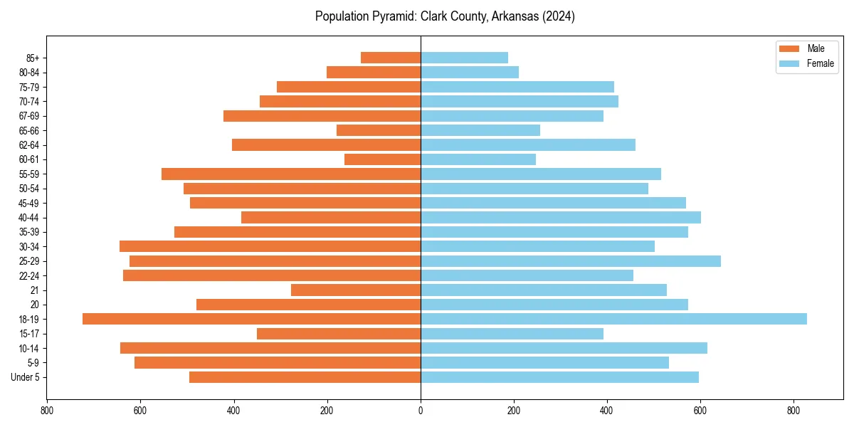 Population pyramid for 