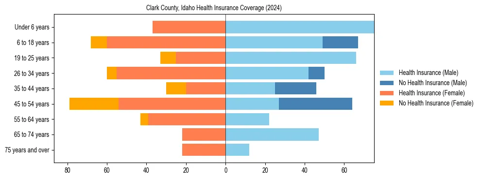 Health insurance pyramid for Clark County, Idaho