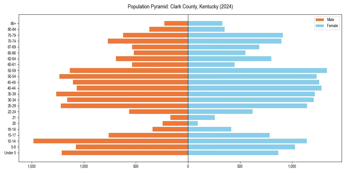 Population pyramid for 