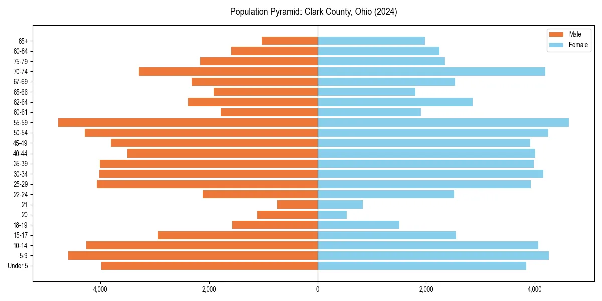 Population pyramid for 